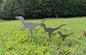 Dinosaur Family Metal Garden Stakes- Garden Sign- Custom Garden Sign- Free Shipping! - Garden Art