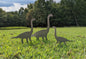 Dinosaur Family Metal Garden Stakes- Garden Sign- Custom Garden Sign- Free Shipping! - Garden Art