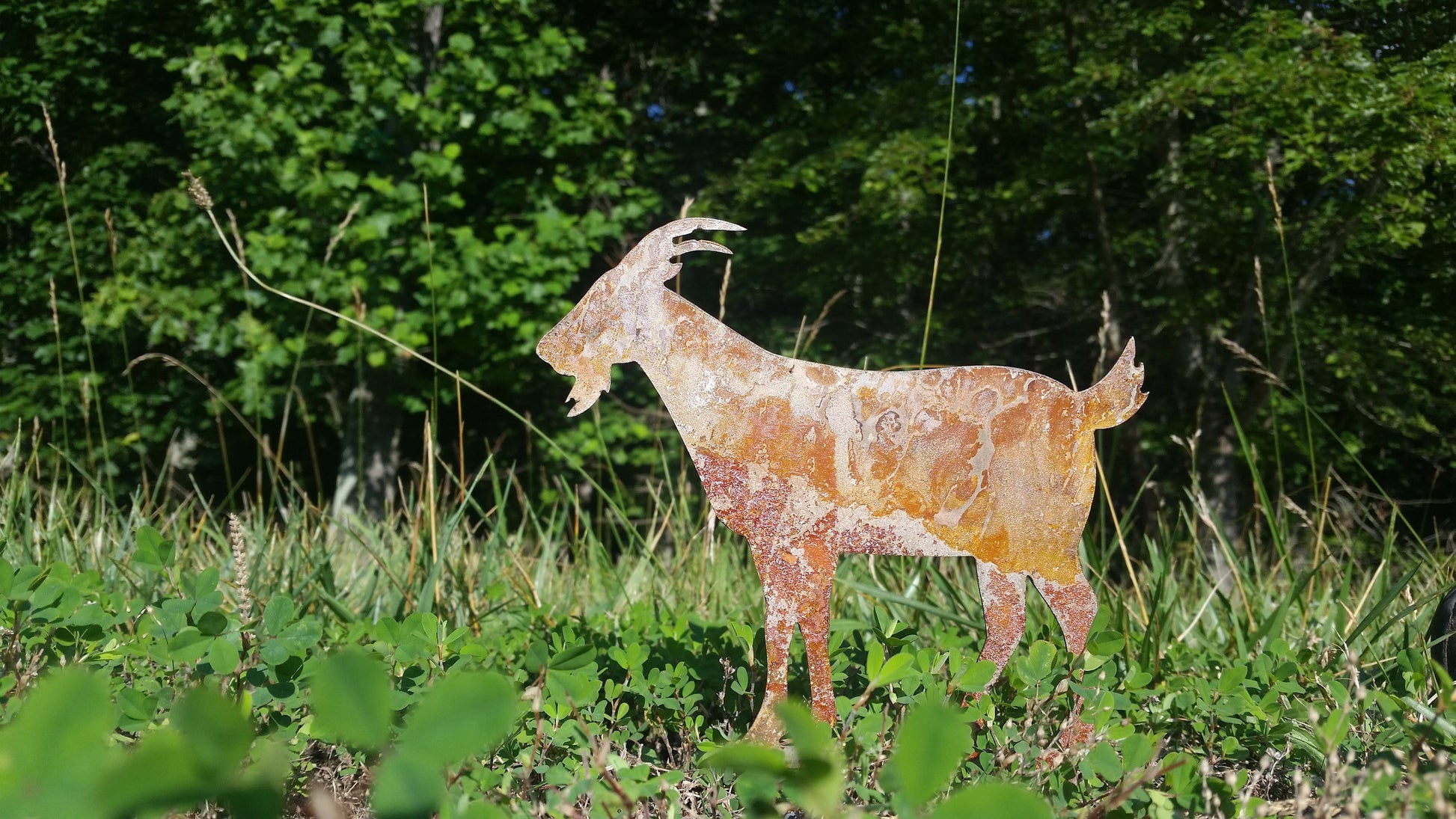 A rusty metal goat silhouette standing in a grassy field. The goat is facing to the left and has a long, thin tail. The goat is a light brown color and has a rough, textured surface. unlike real goats, this one will not eat your garden plants.
