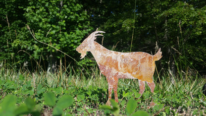 A rusty metal goat silhouette standing in a grassy field. The goat is facing to the left and has a long, thin tail. The goat is a light brown color and has a rough, textured surface. unlike real goats, this one will not eat your garden plants.