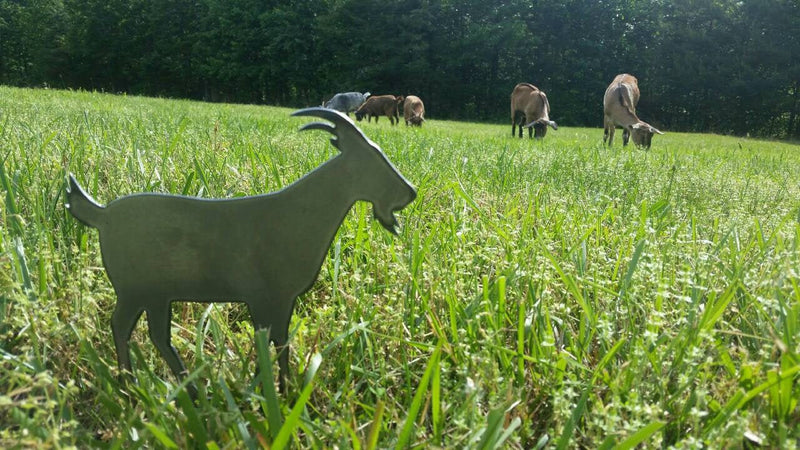 goat farm garden stake yard lawn ornament metal steel gift garden